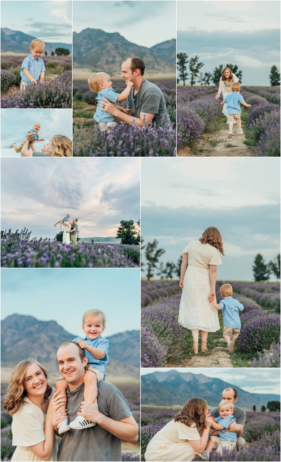 Young Living Lavender Farm - Mona Utah Family Photographer