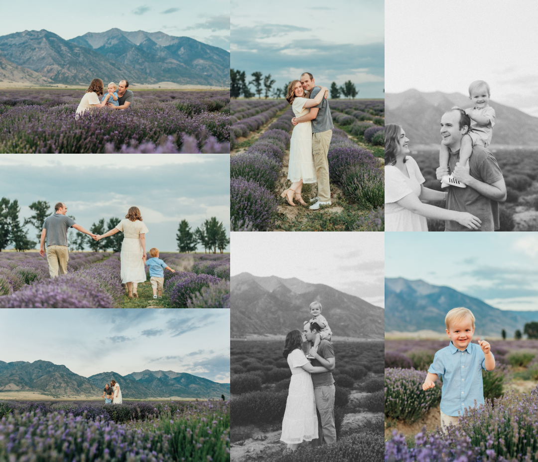 Young Living Lavender Farm - Mona Utah Family Photographer