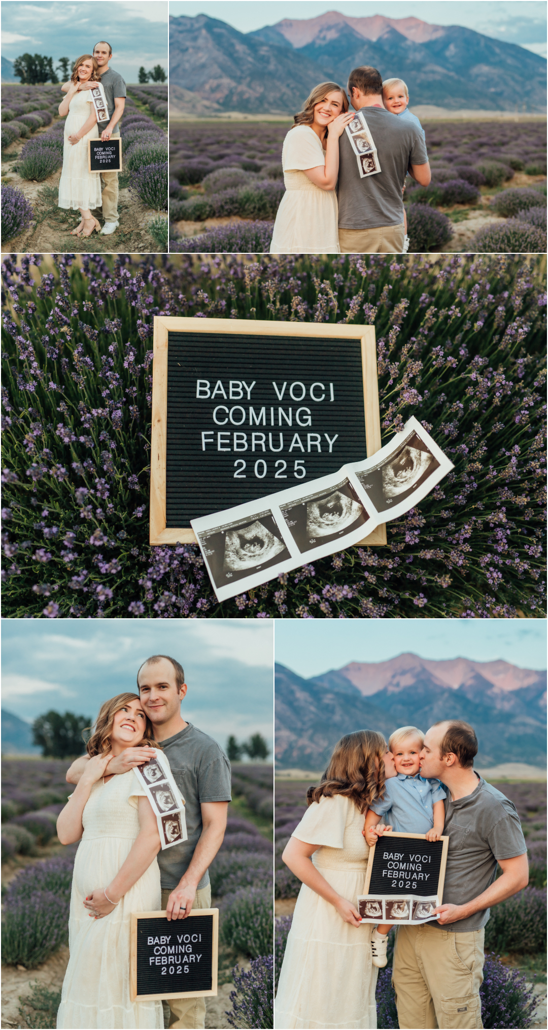 Young Living Lavender Farm - Mona Utah Family Photographer