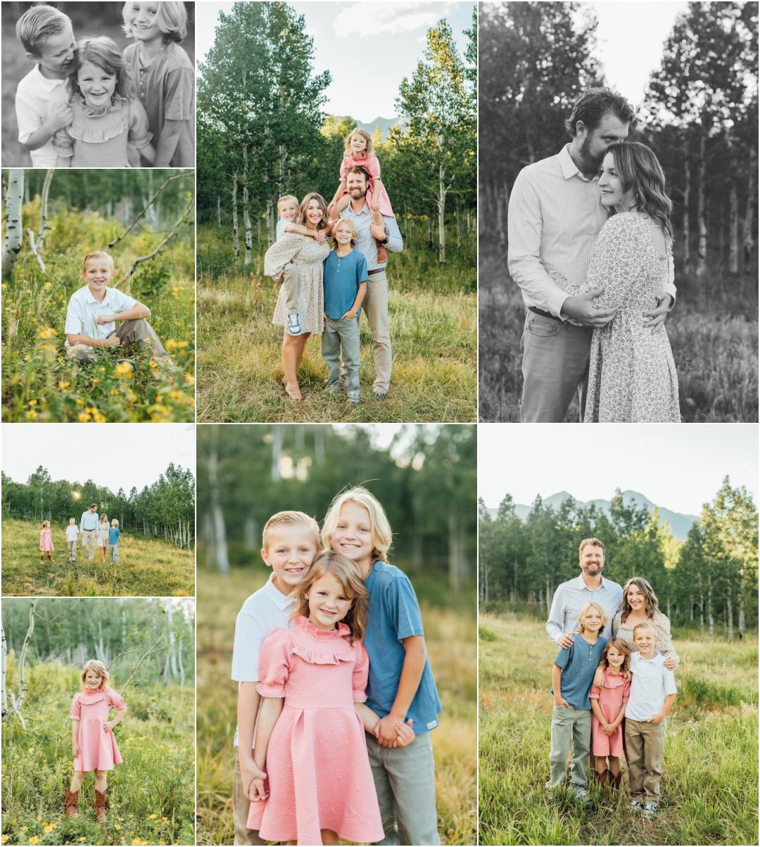 Mini session family photography - Alpine Loop Wild Flowers