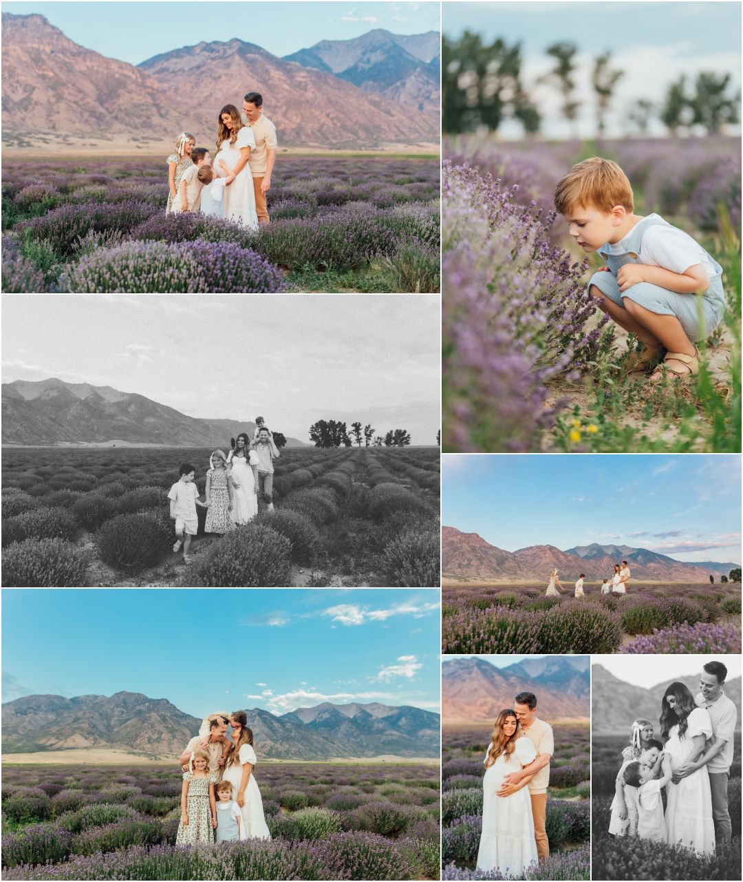 Utah Maternity Family Pictures - Young Living Lavender Fields