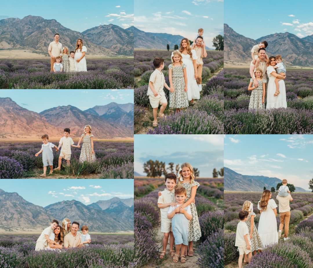 Utah Maternity Family Pictures - Young Living Lavender Fields