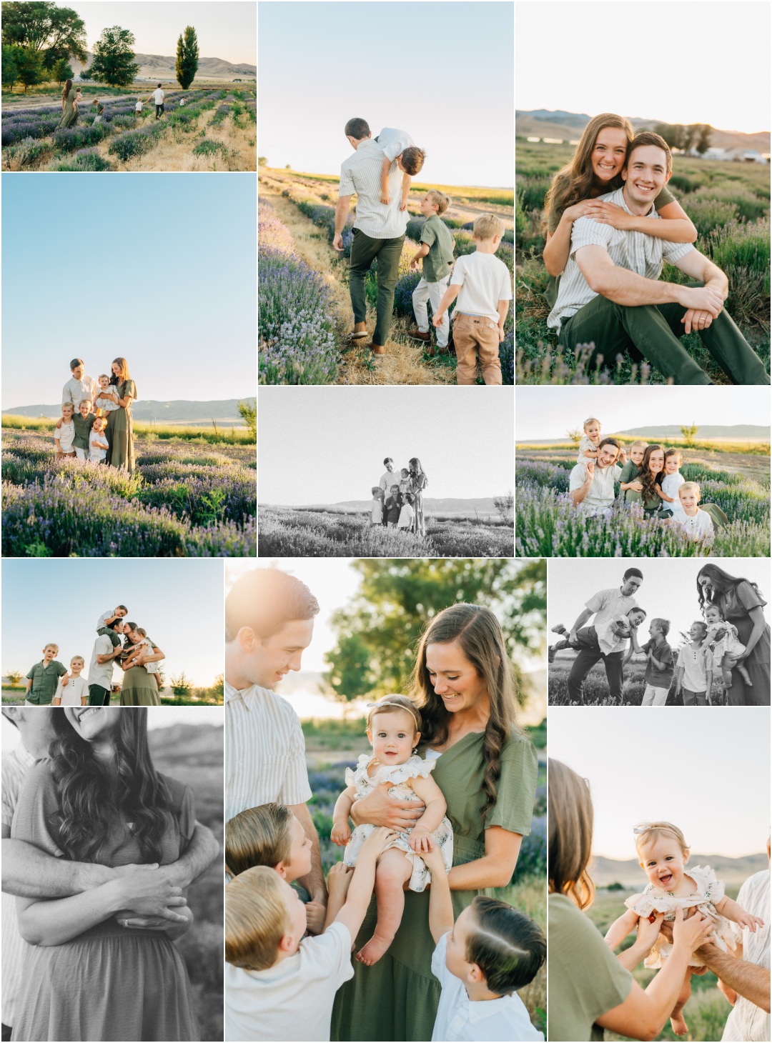 Summer Lavender Family Photography - Family of Four