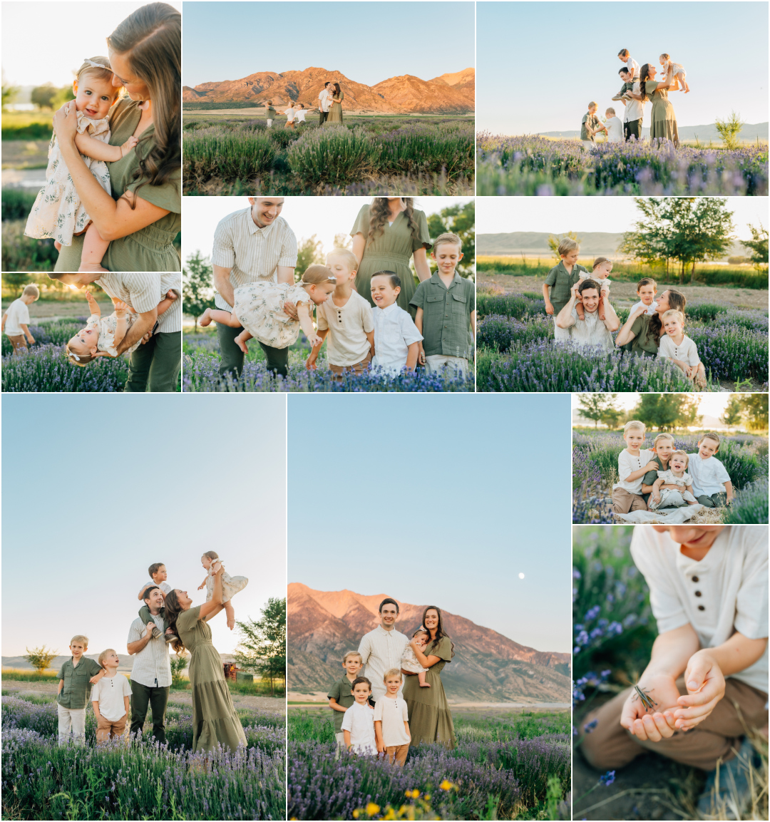 Summer Lavender Family Photography - Family of Four